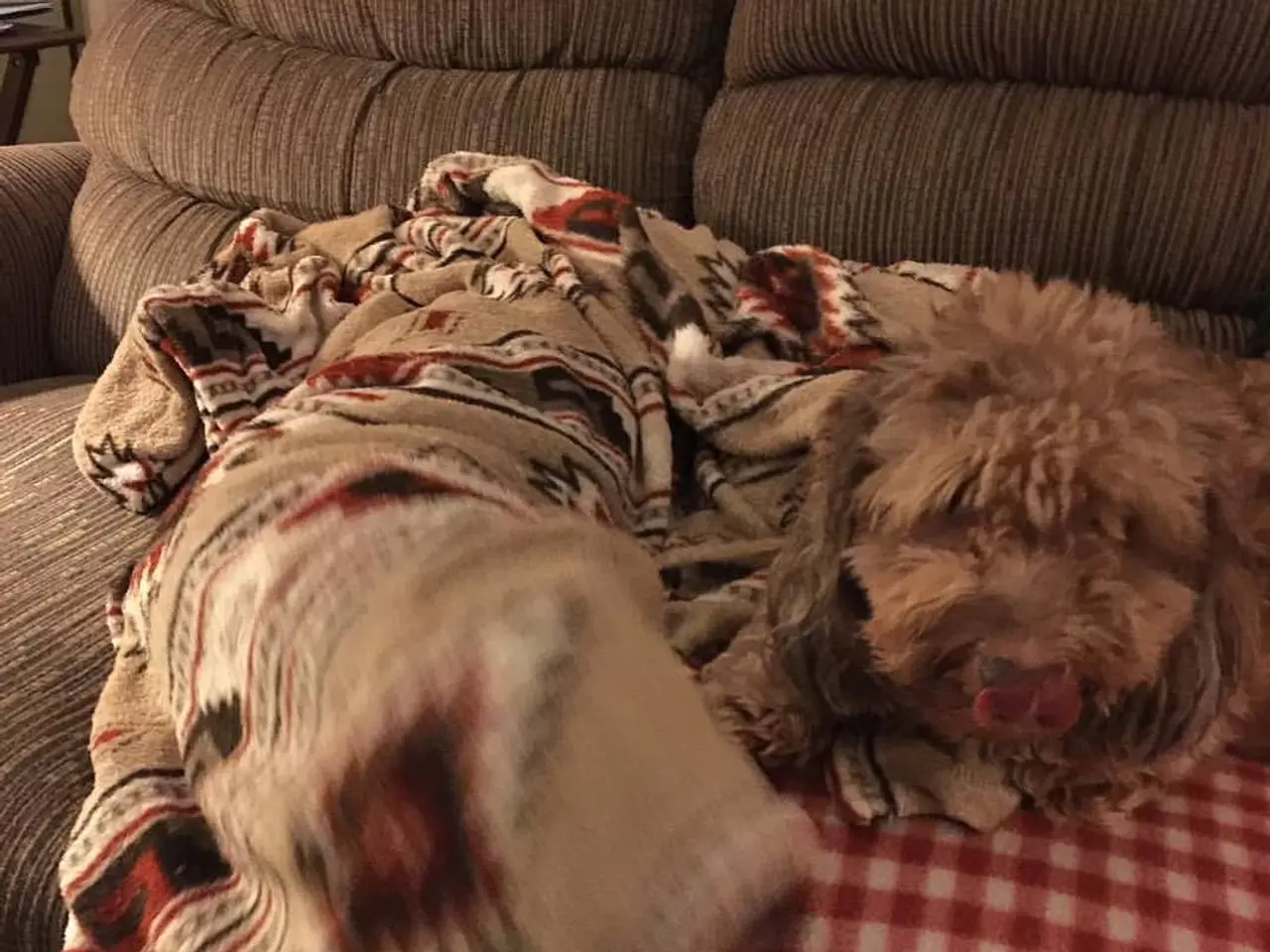 Design Inquiries Cleared by an Interior Expert - Saturated Hues, Kitchen Tiling, and Practical...