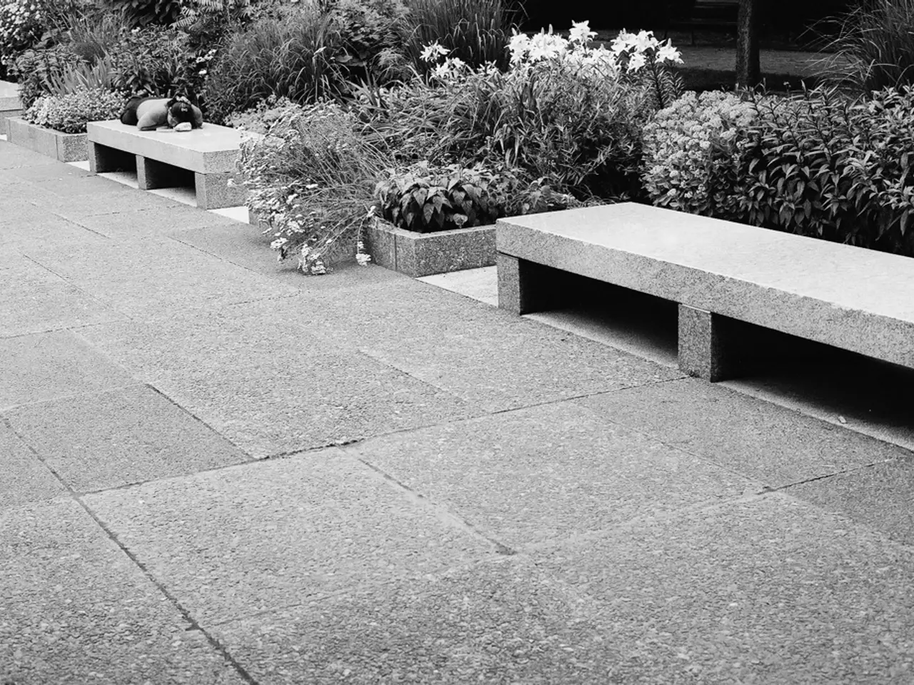 Instruction Manual for Crafting Stunning Zen-Inspired Gardens