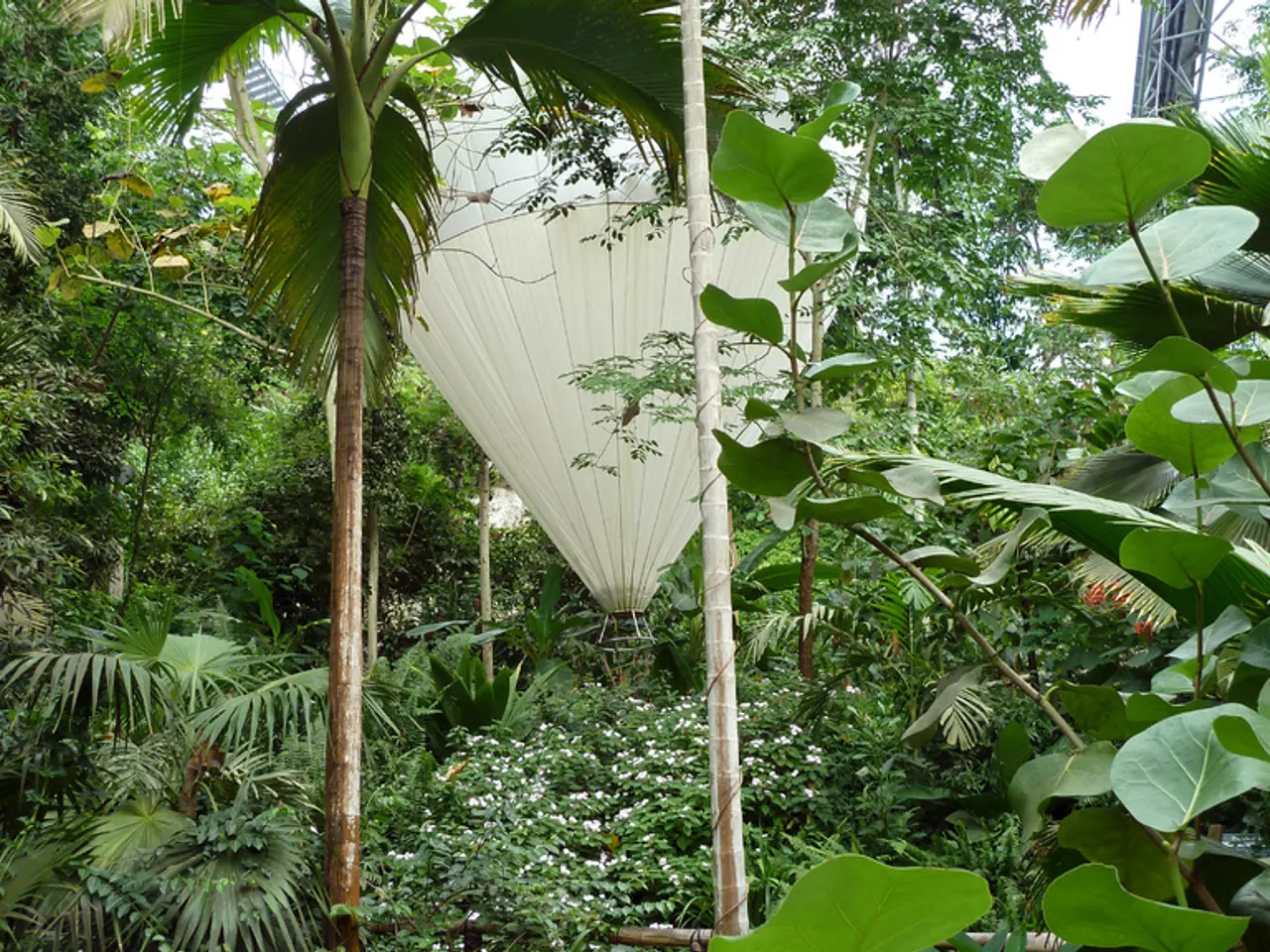 Fighting the Unseen Impact of Humidity on Corn Crops This Summer