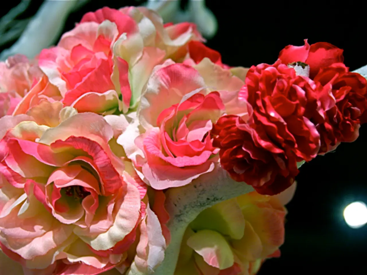 Unveiling the Technological Breakthroughs in today's Awe-inspiring Blooms of Roses by Spray Method