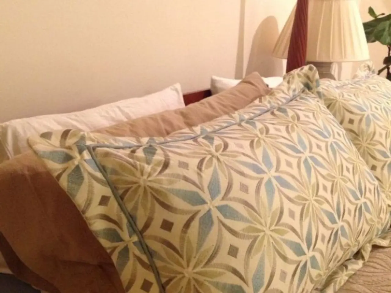 Drew Barrymore's $25 accent pillow in burnt orange perplexedly clarified the popularity surrounding...