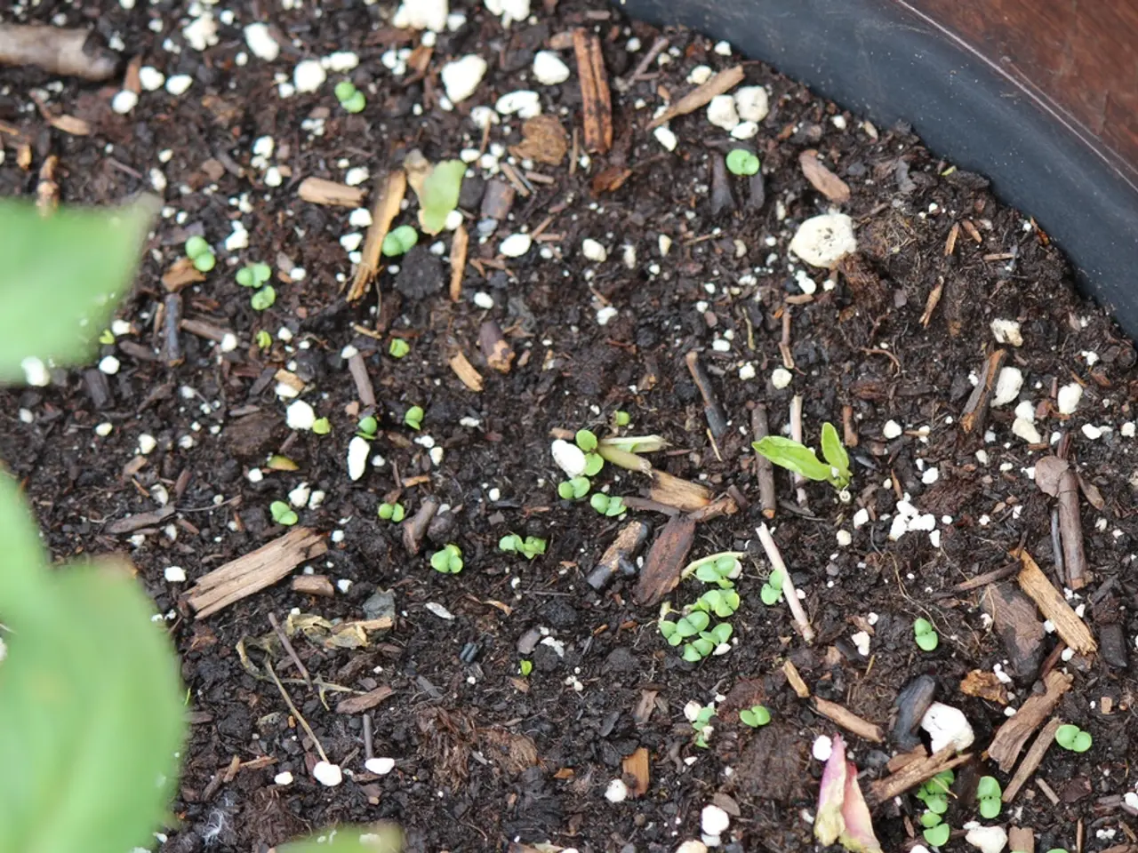 Checking Soil Quality: Pre-Planting Guide for New Farmers