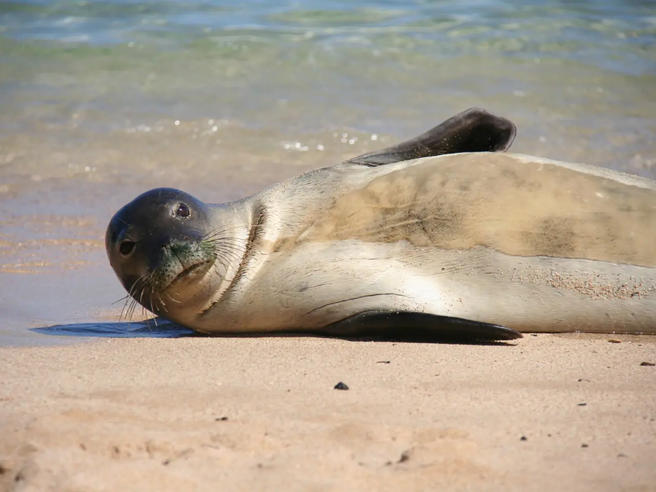 Marina Beach in Chennai Resumes Operations with Blue Flag Recognition: Updates for Visitors to...