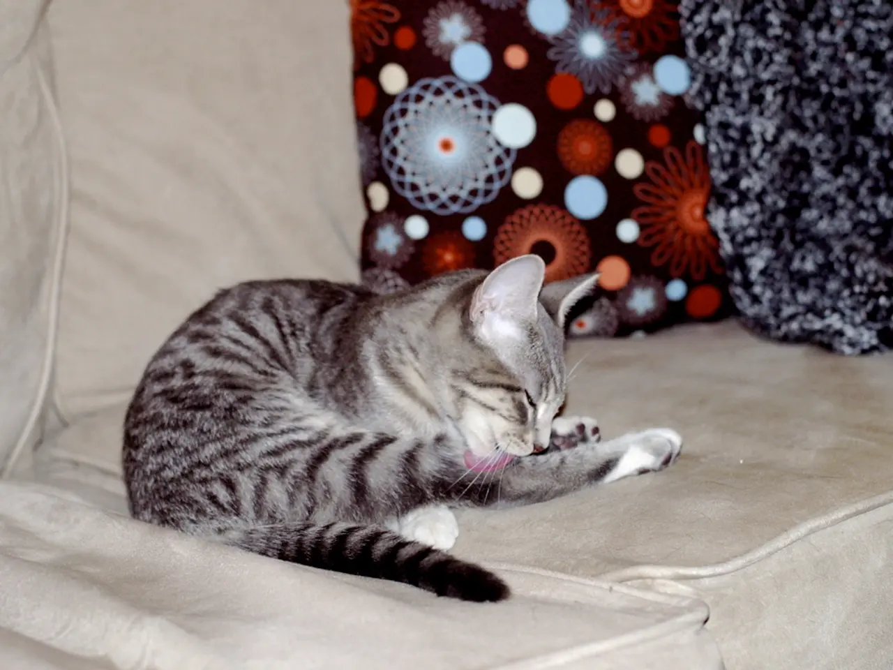 A Cozy German Residence Filled with Vintage Treasures and Three Misbehaving Feline Companions!