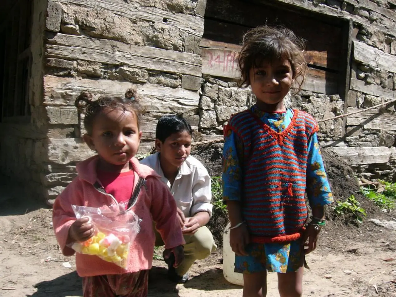 Top 12 Gardening Sets for Immersive Education, Inspiring Awe for Nature's Magic