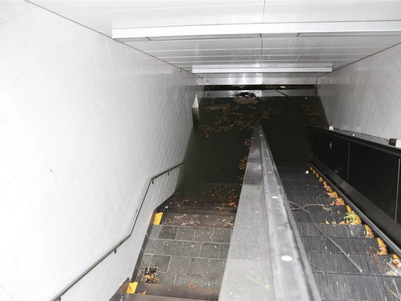 This image is taken indoors. At the top of the image there is a roof. On the left and right sides...