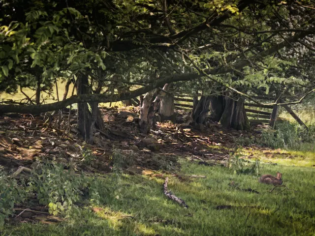 Ten-year progress report on the Yard-to-Garden transformation project