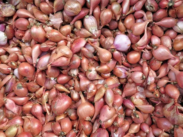 Understanding the Ideal Harvest Time for Onions: Pro Tips for Perfectly Timed Yields from the...