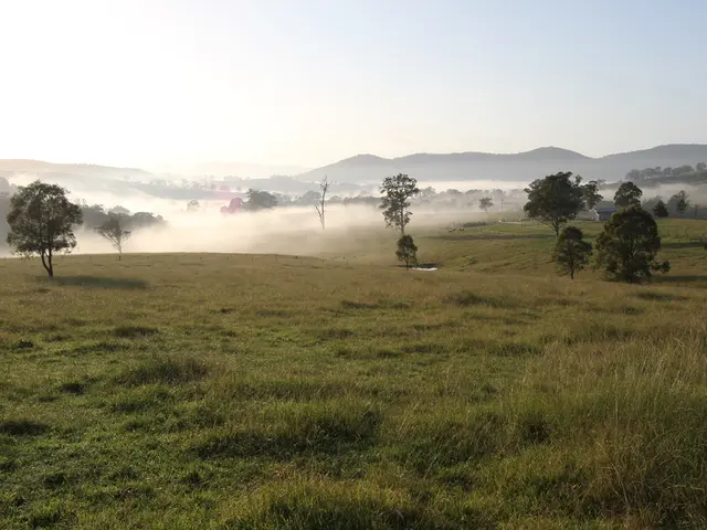 Sowing grass seeds on the lawn.
