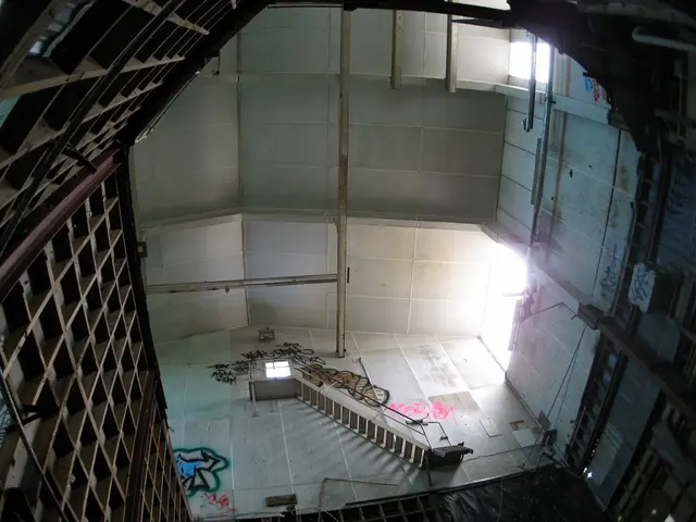 Iron Level Test Results and Norms: Analyzing Iron Levels in Blood and Their Ranges