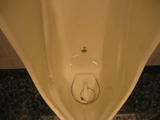 Urine's Sterility: Exploring Scientific Evidence