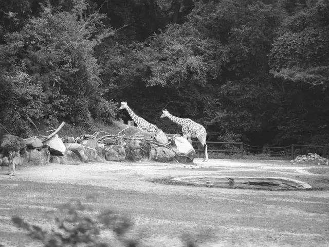 Celebrate the milestone! Chapultepec Zoo marks 102 years; CDMX government invites residents to join...