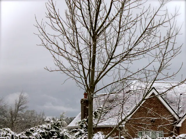 Protecting Plants from Late Spring Frost: A Guide