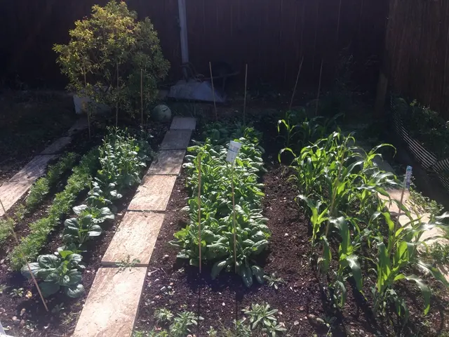 Managing numerous Seedlings in a Single Container