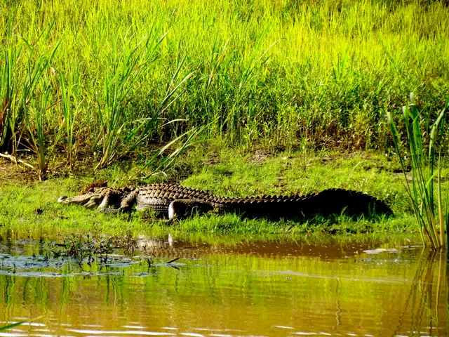 Discover three captivating documentaries that inspire awe for our extraordinary Earth: