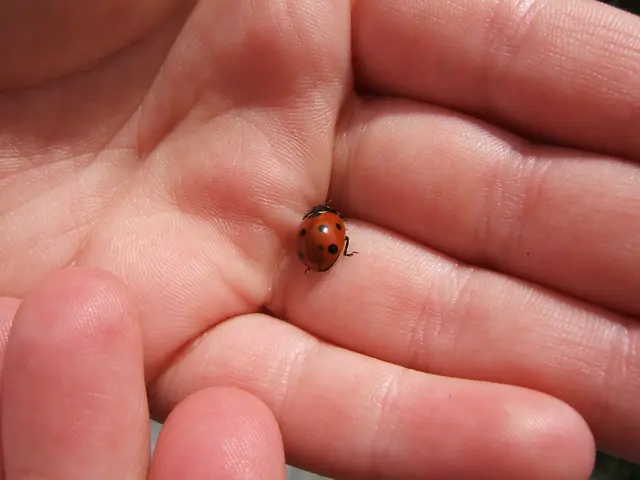 Carpal Tunnel Syndrome: Understanding Its Roots, Signs, and Remedies