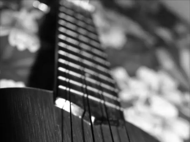 Music Event Strikes the Chord Perfectly in Rezekne: Showcasing a Variety of Instruments