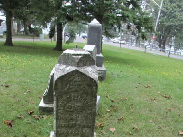 Sustainable Garden Landscaping Ideas: Transforming Your Yard Greener