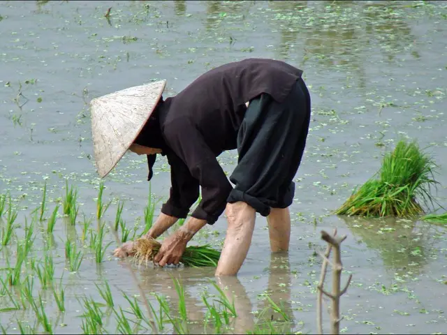 Iowa Home Gardeners: Enrollment for the Track Program Continues
