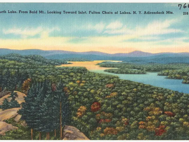 Creative Art Initiative for Minors on Earth Day