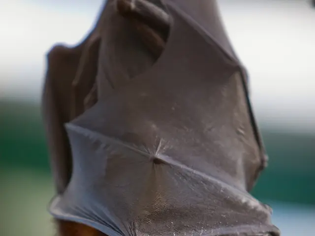 Optimal Strobe Positions for Capturing Detailed Underwater Close-ups