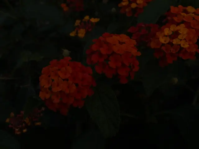 Improved Crop Output and Enhanced Visual Appeal through Intelligent Garden Edging