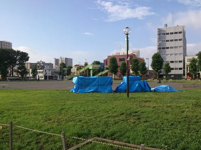 Affordable trekking poles cater to mountain climbers and long-distance runners on trails, currently...