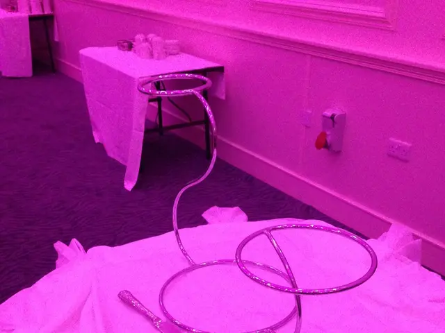 Business Embraces Adams Carpet Cleaning Services