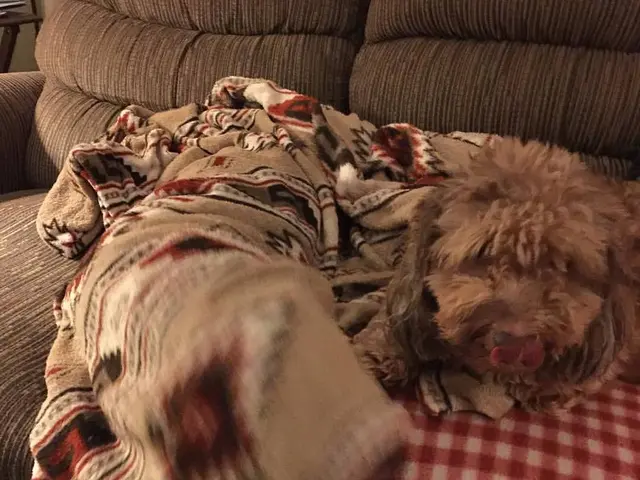 Design Inquiries Cleared by an Interior Expert - Saturated Hues, Kitchen Tiling, and Practical...