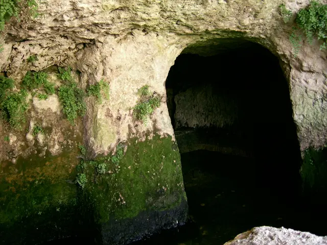 Water's Balancing Act: Buoyancy, Density, and Volume Interplay in H2O