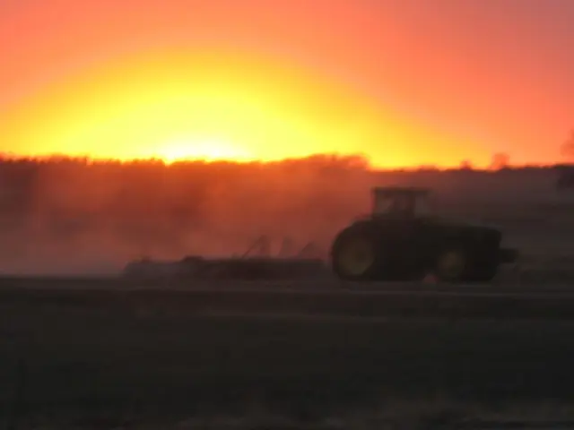 Underground Marketplace: July 15, 2025 - Unregulated Trading Event