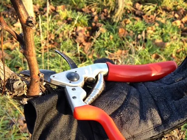 Top 15 Battery-Operated String Trimmers for a Wire-Free Yard That Deliver Results