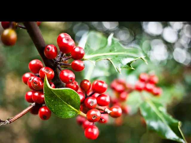 Home-Grown Native Edibles: Five Plant Species to Sustain