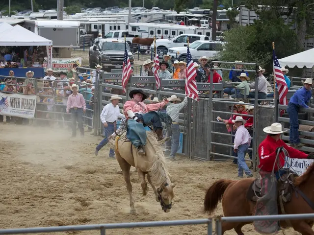 Festival revival in Salzgitter's historic town center kicks off once more!