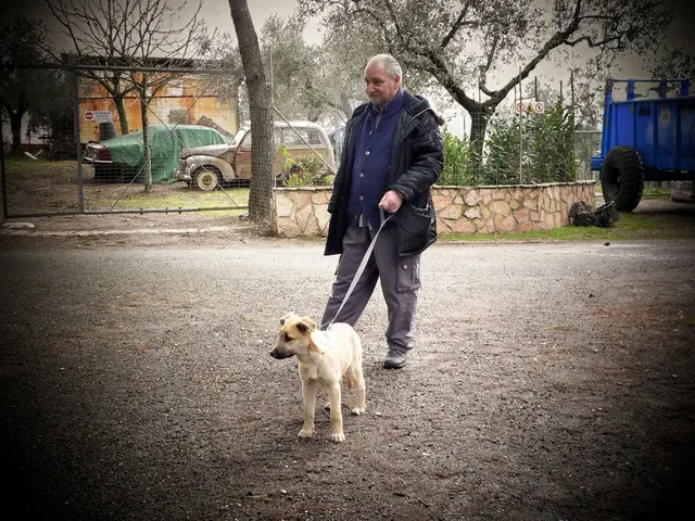 Clipping a Dog's Nails: A Comprehensive Guide by a Veterinarian
