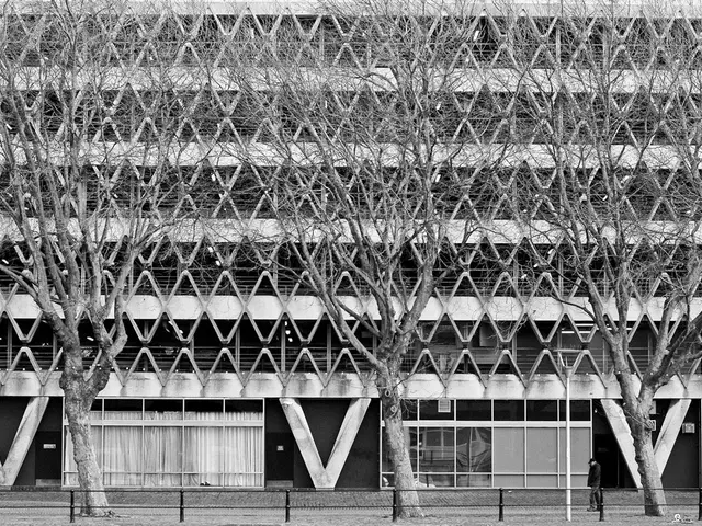 For those seeking stylish curtains, look no further: Discover the Top Retailers for Your Elegant...