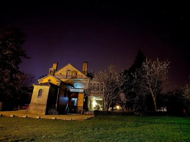 Glowing Worms Excursion in Ōtari