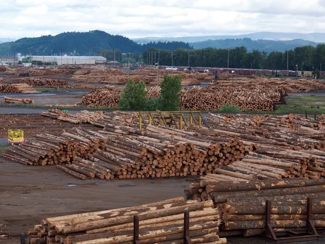 Creative Outdoor Nature Craft Ideas Suitable for Various Age Ranges, Inciting Awe and Inspiration