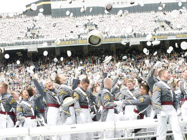 Transformed Fence Concepts to Enhance Your Backyard's Privacy