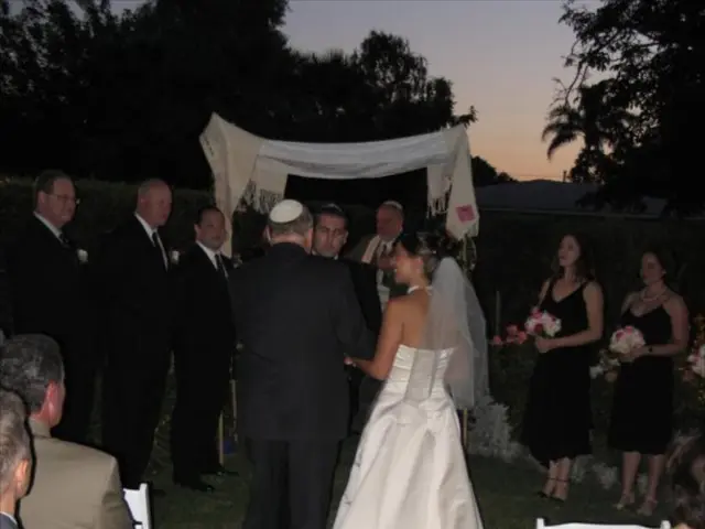 New greenery blooms on the wedding lawn in Urdenbach, Dusseldorf, with 13 fresh trees added.