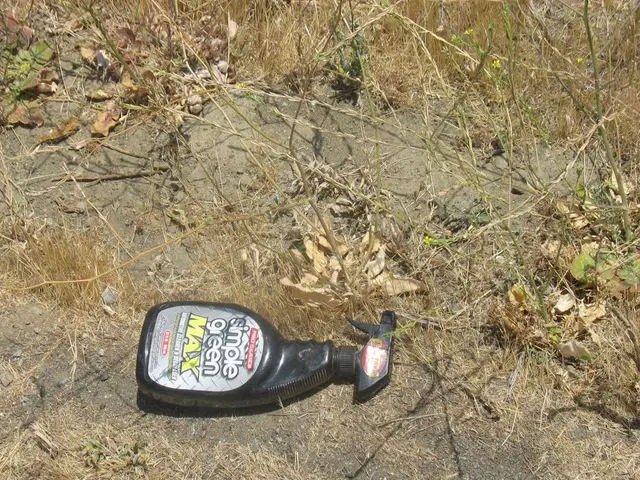 Soil Antidepressant Microbes: Exploring How Microorganisms in Soil Could Contribute to Mood...