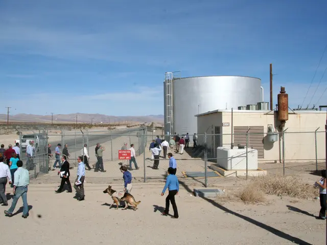 Moving to Martha's Vineyard: Unwelcoming vibes for those who aren't locals.