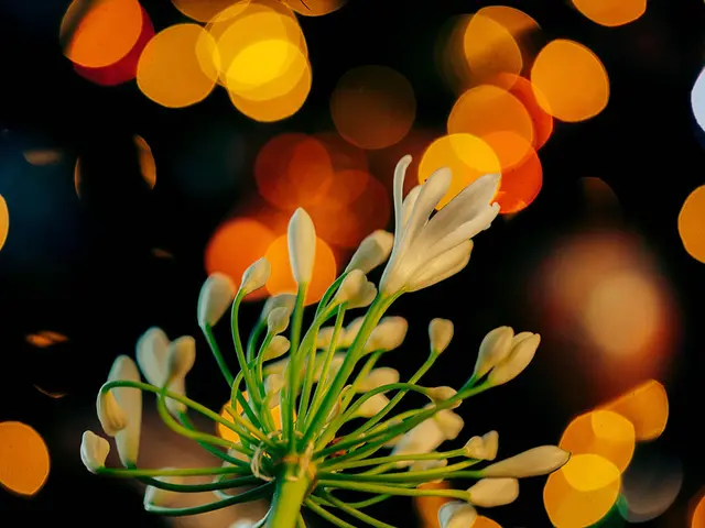 Nocturnal pollinators in North America can find a home among these five native plants, which...