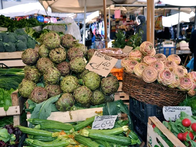 Strategies for a Memorable Budget Picnic