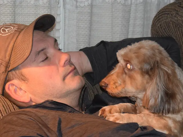 Top French Bulldog Monikers to Consider