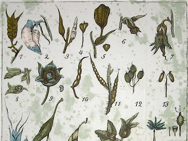 Despite my longing for spring, the transition can sometimes leave me feeling uneasy.