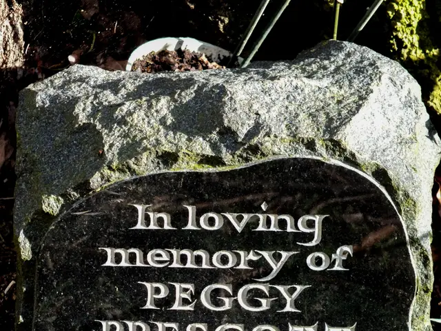 Striking succulent arrangement on a stone basin accented by lichen, a natural touch by James Horner...