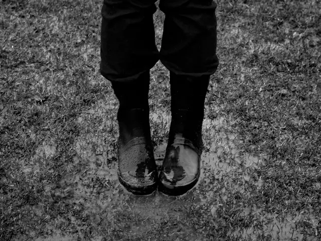 Exceptionally comfortable Helly Hansen Switchback Trail HT hiking boots earned a five-star rating...