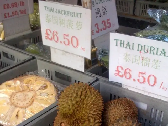 Guide for Selling Your Mango Farm Enterprise: Key Points to Remember