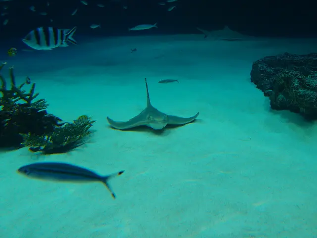 Cultivation Activities in Woog Region